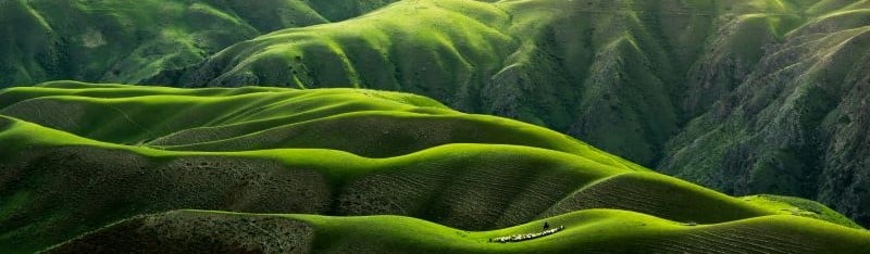Hills Web Banner